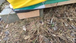 Ангар своими руками 5×9 с тентовым покрытием высота 3,5метра