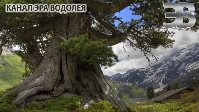 Медитация Набор энергии и Заземление смотреть онлайн