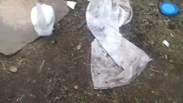 Наш курятник и куры смотреть онлайн