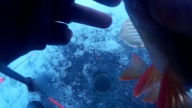 Рыбалка на Ладоге Креницы смотреть онлайн