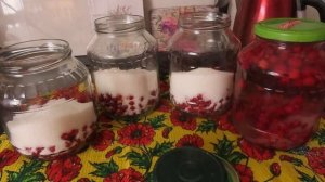 МАЛИНОВЫЙ Компот, на зиму,самый простой рецепт