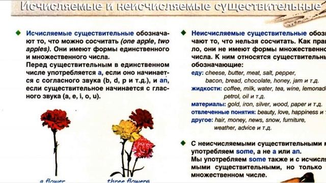 Существительное исчисляемое/неисчисляемое Часть 1
