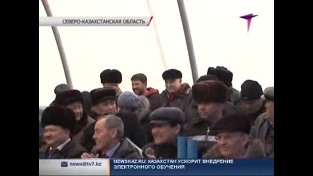 Породистых быков пустили с молотка