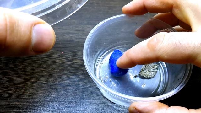 ПАЛОЧНИК КОЛЮЧИЙ. СОДЕРЖАНИЕ И РАЗВЕДЕНИЕ. Neohirasea maerens смотреть онлайн