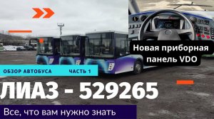 Обзор Лиаз 529265-97 часть 1