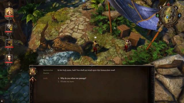 Divinity Original Sin Enhanced Edition - Episode 33: Learning Things смотреть онлайн