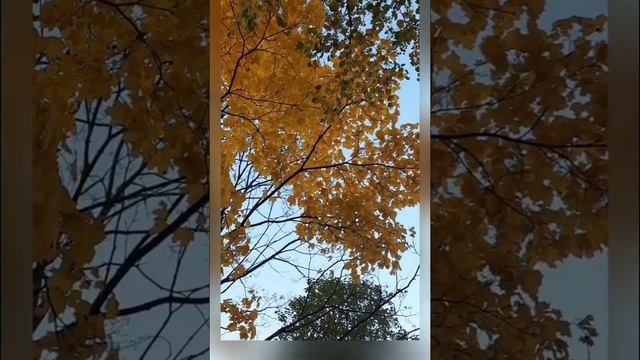 Мария Доброва.Стихотворение - "Лёгкой походкой" смотреть онлайн