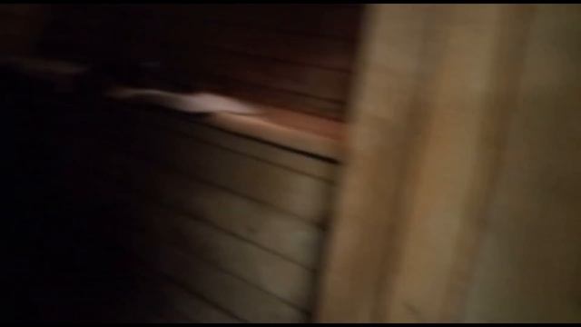 Украинцы в русской бане на дровах в Польше Еленя-Гура смотреть онлайн