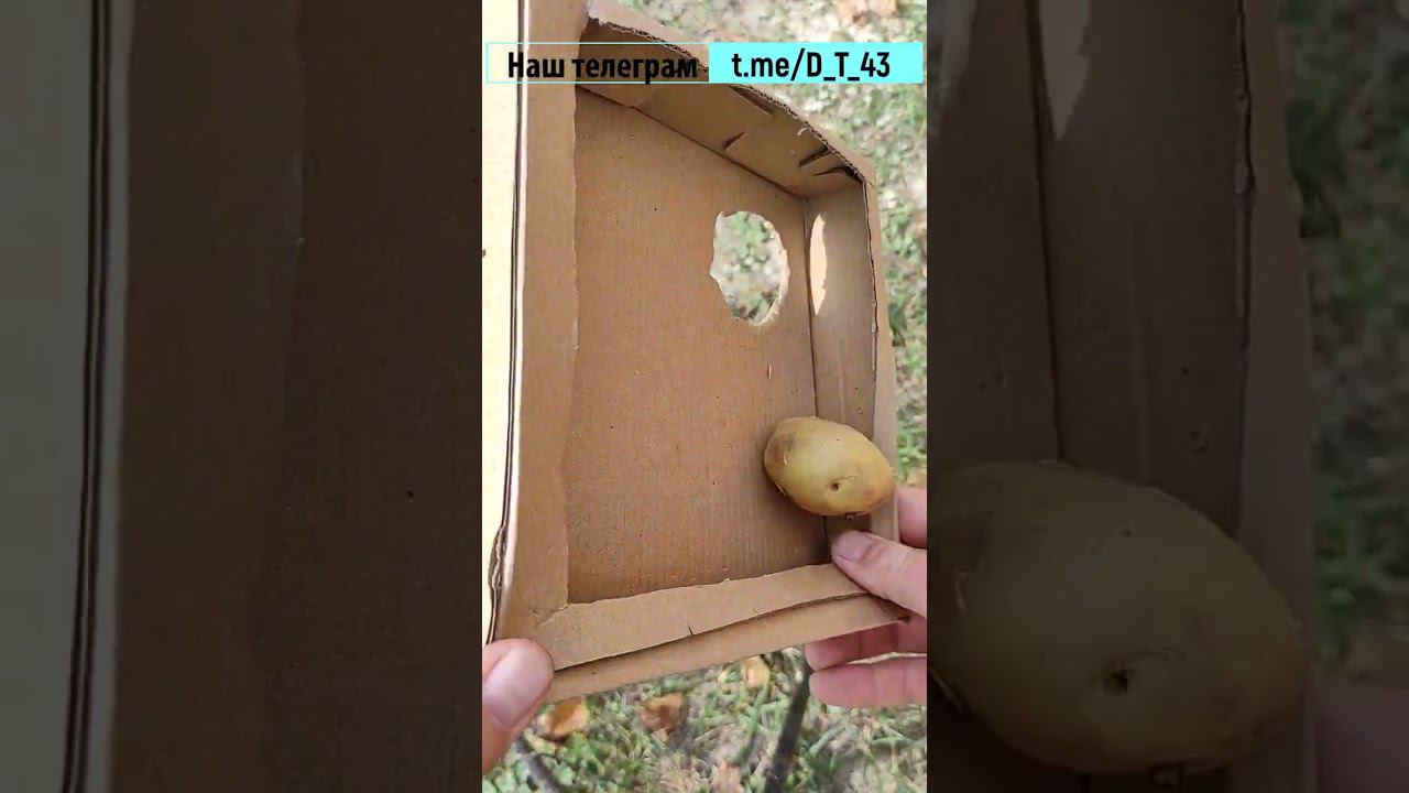 Почему я не знал этого раньше? Деревенская игрушка смотреть онлайн