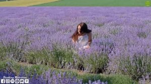 Лучшие композиции Сергея Грищука?Успокаивающая музыка для нервов?Лечебная Музыка для Снятия Стресса