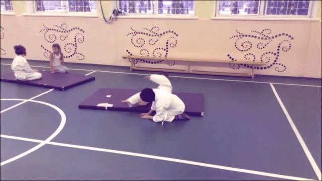 традиционный шотокан каратэдо смотреть онлайн