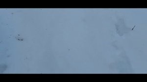 Daihatsu terios едет по глубокому снегу