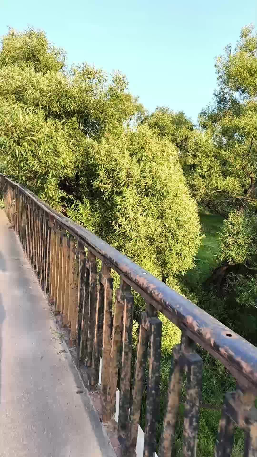 геплик? смотреть онлайн