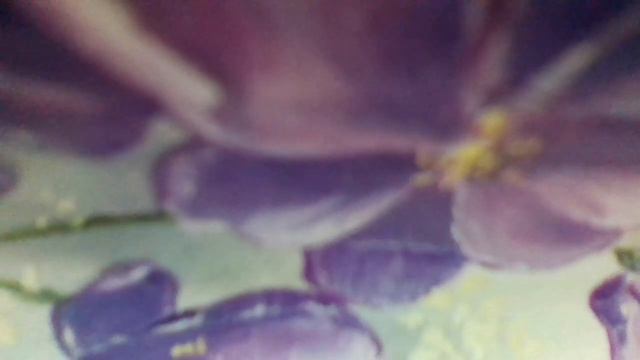 Если рядом с тобой друг(Мир похож на цветной луг,если рядом с тобой друг(м/ф"Однажды утром"наброски смотреть онлайн