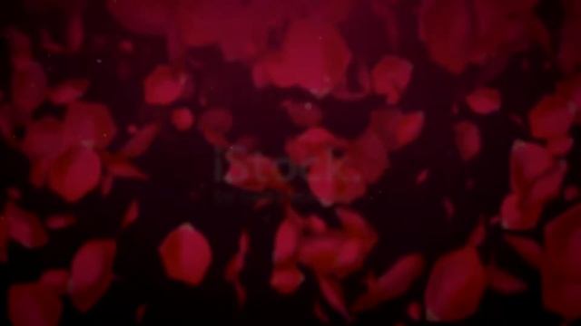 Проект. Цветы которые не вянут смотреть онлайн