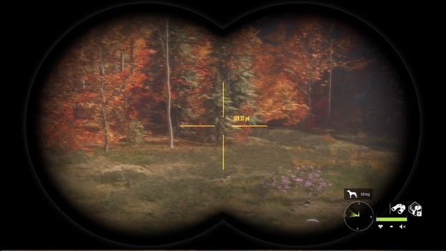 theHunter COTW - An Old Friend смотреть онлайн