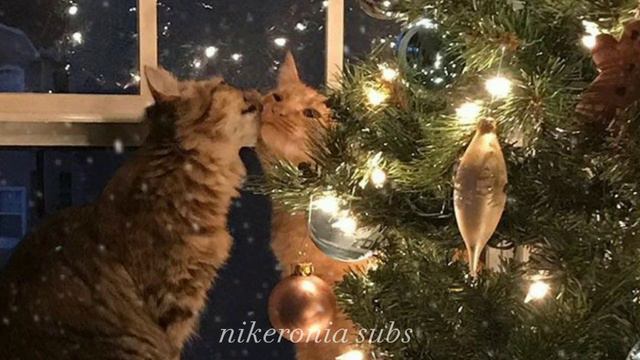 ~Твой идеальный Новый год~ саблиминал на русском. смотреть онлайн