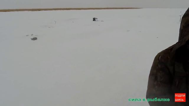 Зимняя рыбалка мечты, утром окунь, весь день трофейный карась. смотреть онлайн
