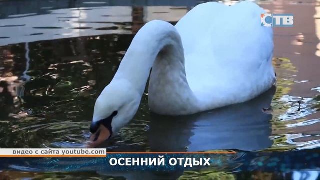 16.08.2023 Где будут этой осенью отдыхать россияне. смотреть онлайн