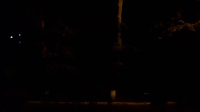 История выпавшего из гнезда вороненка смотреть онлайн