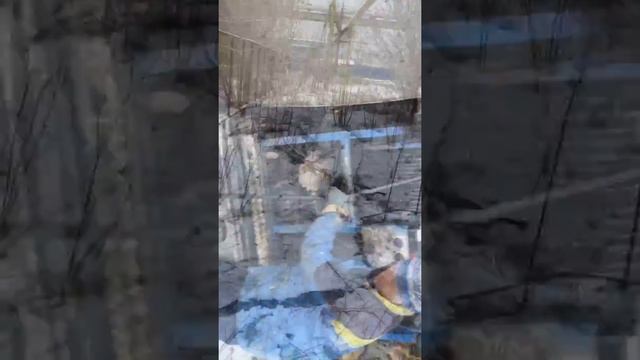 Чистим трубу 300 в Химграде смотреть онлайн