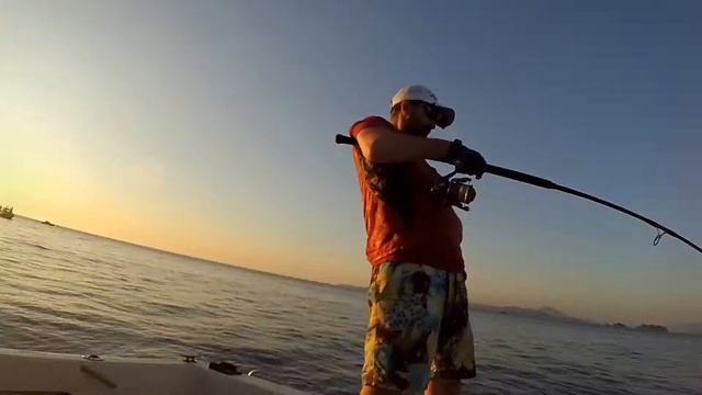 Жизнь на Планете Земля