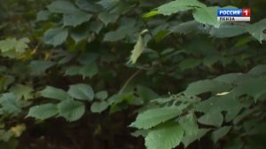 В середине страны, возле самого сердца России, Пензенская область