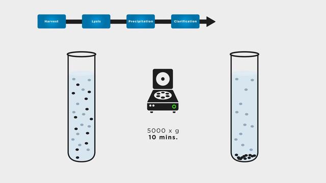 Viral Particle Production 101 Video