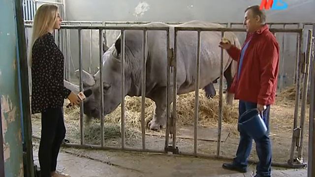 "За кулисами цирка-2" смотреть онлайн