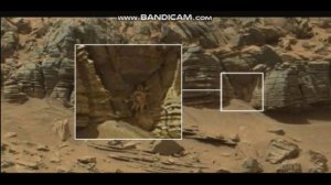 После этого даже ученым стало не до смеха Это не должны били увидеть на Марсе