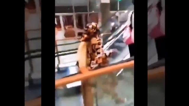 Впервые в торговом центре (Дуала, Камерун) смотреть онлайн