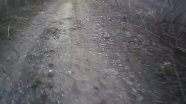 Видео на канале 