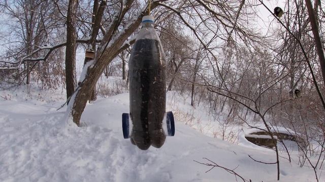 Кормушка для птиц / синицы