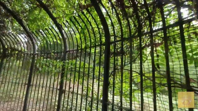Regent's Park 1rs part. смотреть онлайн