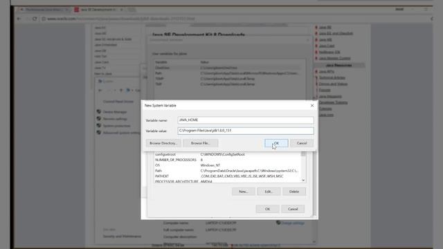Install the JAVA Development Kit (JDK) смотреть онлайн