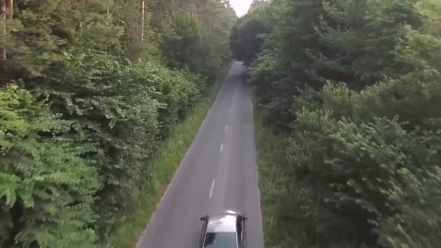 Самые опасные животные. Часть первая смотреть онлайн