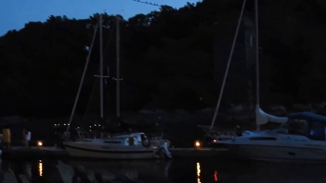 Cormorans à aigrette prêts pour la nuit...près du pont de Québec смотреть онлайн