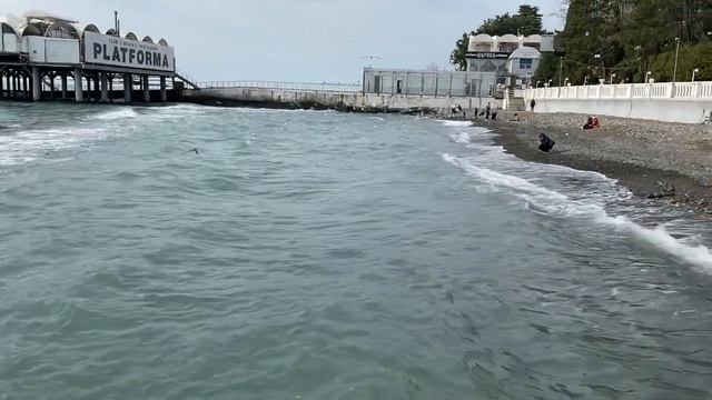 08.02.2021. Погода в Сочи в феврале. Смотри на Чёрное море каждый день. смотреть онлайн