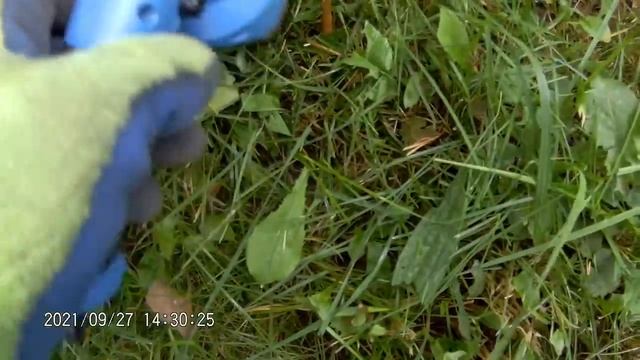 Akku Grasschere Praxistest Bedienungsanleitung Güde GPS 3.6-1.5 Li-ion Akku Gartenpflegeset 27/09/2 смотреть онлайн