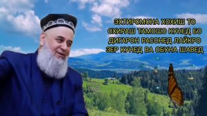 ЗАНИ НОШУКУР БАНДА ХОЧИ МИРЗО САВОЛУ ЧАВОБ