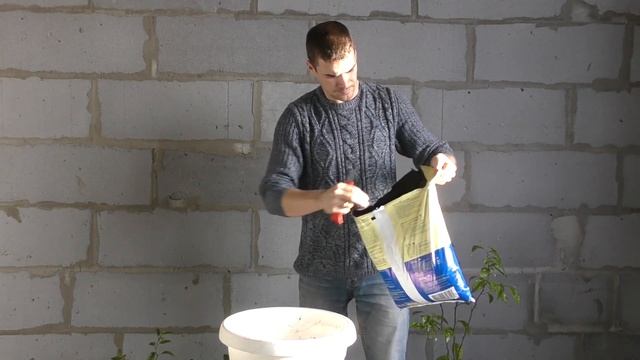 Спасаем лимон от гибели Лимон скидывает листья  Семья Булатовых