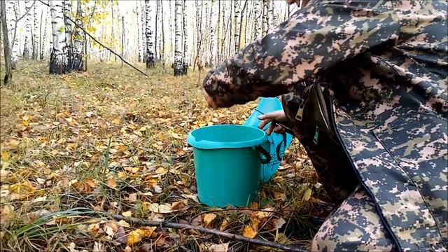 Лесные дары. Первые осенние грибочки. смотреть онлайн