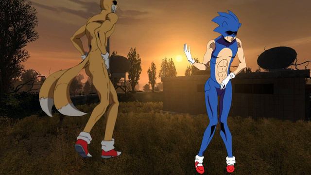 Соник и Тейлз флексят, НО ЭТО АНИМЕ! под песни Фотографирую закат смотреть онлайн