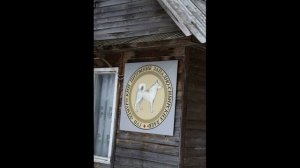 Потомки лаек удмуртского питомника. Рассказ Анатолия Долгушина, Новосибирск