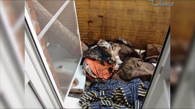 Статистика пожаров в Сланцевском районе ЗА АВГУСТ смотреть онлайн