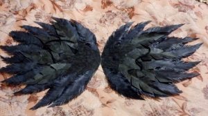 Крылья вороны. Как сделать крылья своими руками? Твори добро! Примерка и выводы о крыльях вороны.