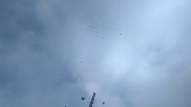 Небольшая разминка смотреть онлайн