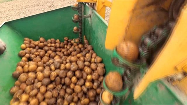 Самодельная картофелесажалка. Посадка картофеля. Новый сезон. смотреть онлайн