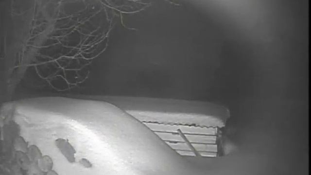 Falcon Eye FE-I80C/15M Night Vision