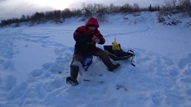 Зимняя рыбалка 2021г. на ЩУКУ!!! Ловля белой рыбы на ВЕШАЛКУ!!! Бешеный КЛЁВ в ГЛУХОЗИМ!!! смотреть онлайн